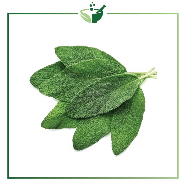 Sage Infused Oil-01